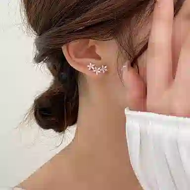 ZOKS S925
