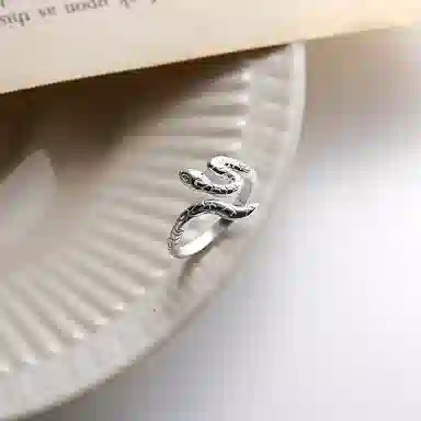 ZOKS ins S925
