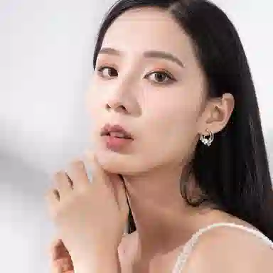 秦福炫 淘气喵喵小众设计感月亮花朵精致高级 耳钉 女款 银色