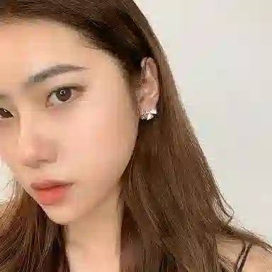 秦福炫 流苏高级感蝴蝶结气质小众轻奢 合金 耳环 女款