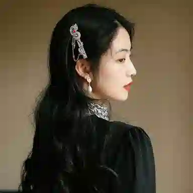 秦福炫 生肖龙流苏轻奢设计感 发夹 女款 银色