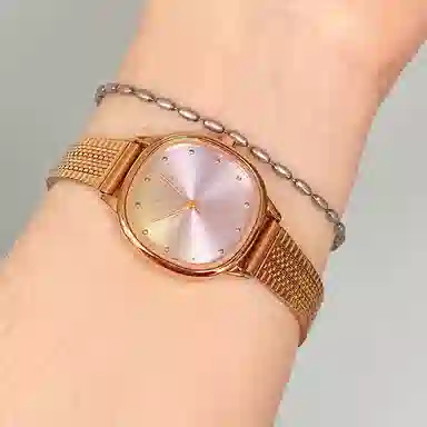 FEYERT ins 30 D202130