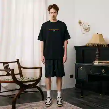 ICONS Lab T