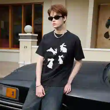 ICONS Lab T