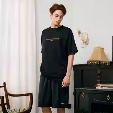 ICONS Lab T