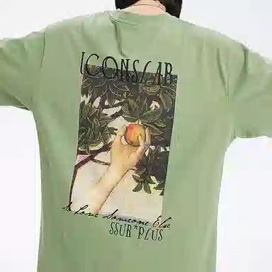 ICONS Lab T
