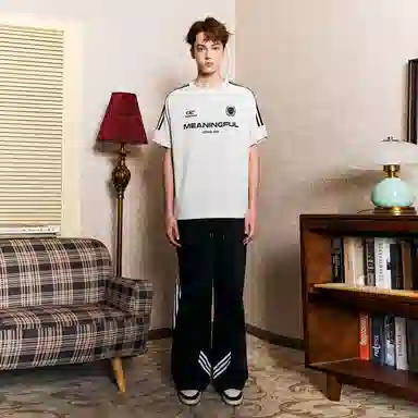 ICONS Lab T