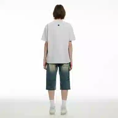 ICONS Lab T