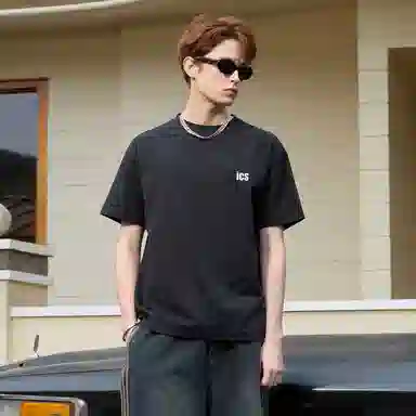 ICONS Lab T