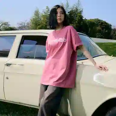 ICONS Lab T