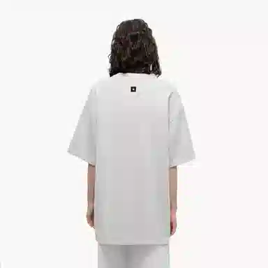 ICONS Lab T