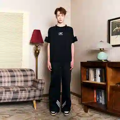 ICONS Lab T