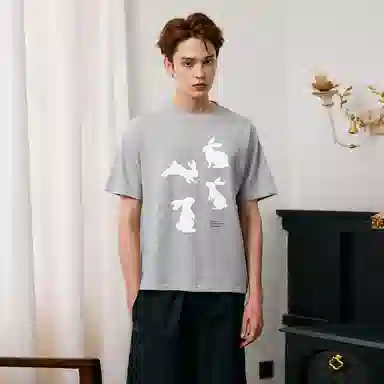ICONS Lab T