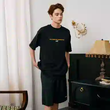 ICONS Lab T