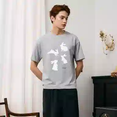 ICONS Lab T