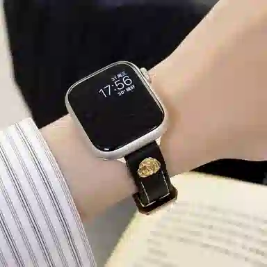 LOVINGCOOL Appleiwatch56789SEultra