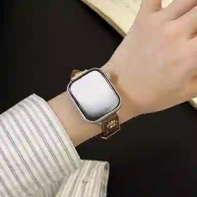 LOVINGCOOL Appleiwatch56789SEultra