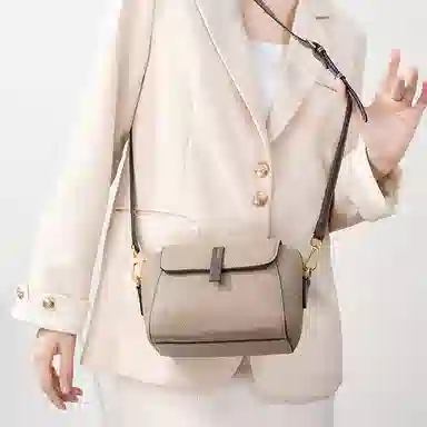 包包女实用通勤高级感小众时尚百搭简约个性潮流休闲轻便 牛皮 斜挎包 小号 女款 多色