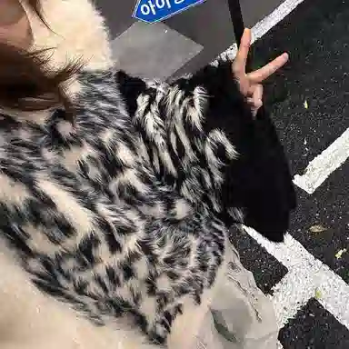 虫小绿 国潮复古字母印花仿貂毛毛衣外套春秋季软糯温柔风宽松休闲百搭保暖情侣套头圆领长袖针织衫 男女同款