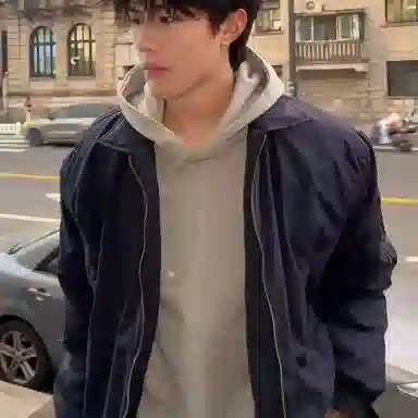 虫小绿 美式高街复古潮牌侧边拉链设计翻领百搭日常通勤休闲工装哈灵顿飞行员短款底特律纯色夹克 男女同款