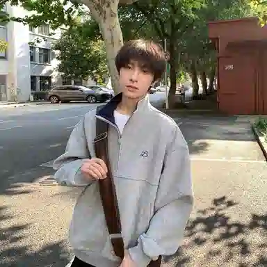 虫小绿 美式潮牌复古基础纯色胸口小标刺绣时尚半拉链立领上衣外套秋冬季痞帅气质百搭宽松休闲撞色情侣卫衣 男女同款