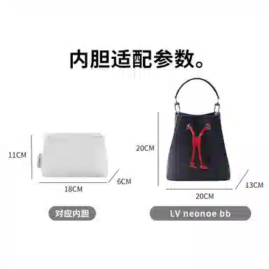 bagINBAG