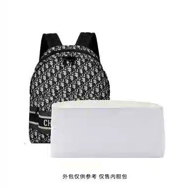 bagINBAG DiorTravel