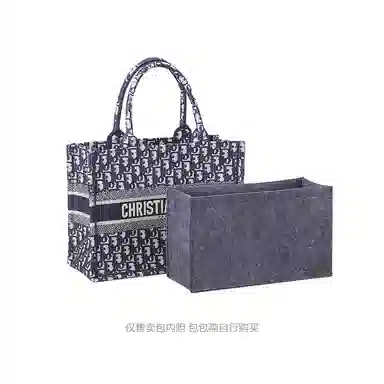 bagINBAG diorbook tote