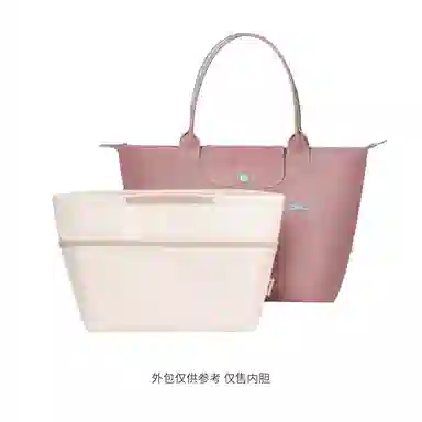 bagINBAG