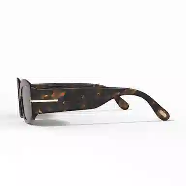 Tom Ford Cat Eye Sunglasses