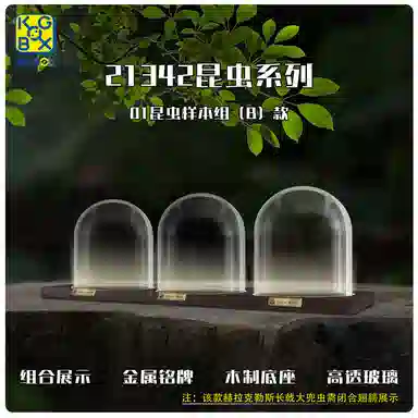 KGBOX 21342 Insect Series Glass Dome