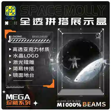 KGBOX SPACE MOLLY BEAMS1000400