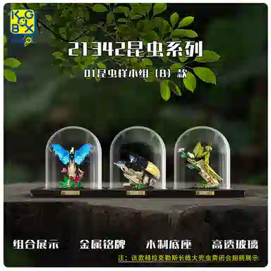 KGBOX 21342 Insect Series Glass Dome