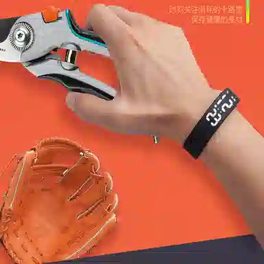 ZHIYILIANGPIN Smart Bracelet
