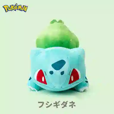 POKEMON 15cm20cm21cm25cm