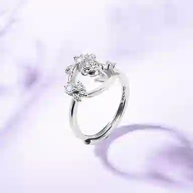 Disney S925