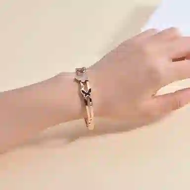 聆听花开 蝴蝶镯字 简约设计小众高级感冷淡风韩版时尚气质百搭闪耀精致 钛钢 手镯 女款