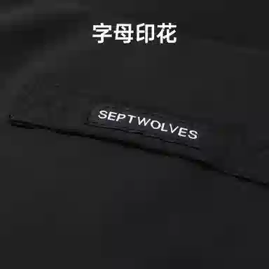 SEPTWOLVES