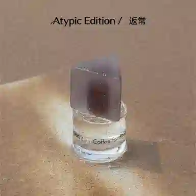 ATYPIC EDITION EDP