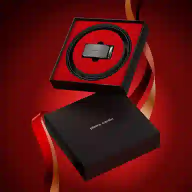 PIERRE CARDIN 3.45CM