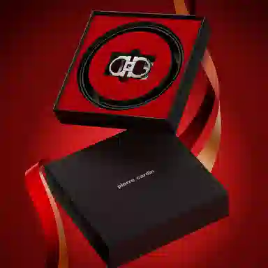 PIERRE CARDIN P 3.45CM