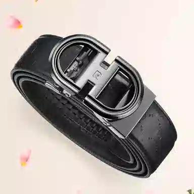 PIERRE CARDIN logo 3.45CM