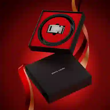 PIERRE CARDIN 3.45cm