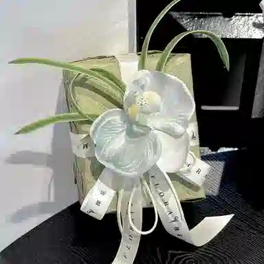 PML0618HYNL