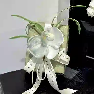 PML0618HYNL
