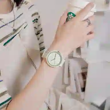 PML0620
