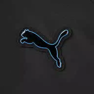 PUMA FW25 logo