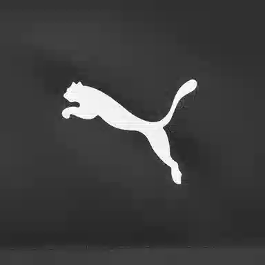 PUMA Winterized Basic Down Jacket