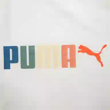 PUMA T
