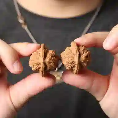 潘家园 野生狮子头 野生落地果 大肚 宽边 成熟度高 文玩核桃 核桃类把件 男女同款情侣款